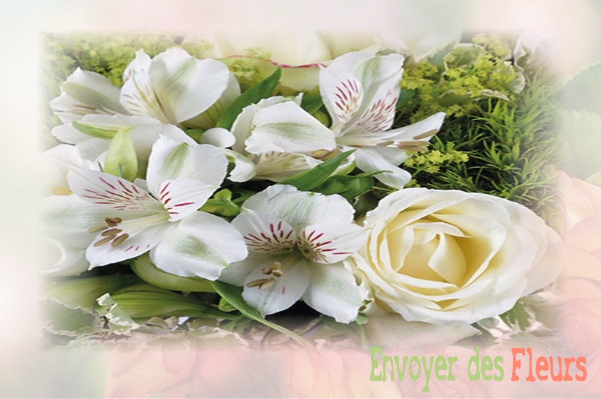 envoyer des fleurs à à VILLENEUVE-DU-LATOU