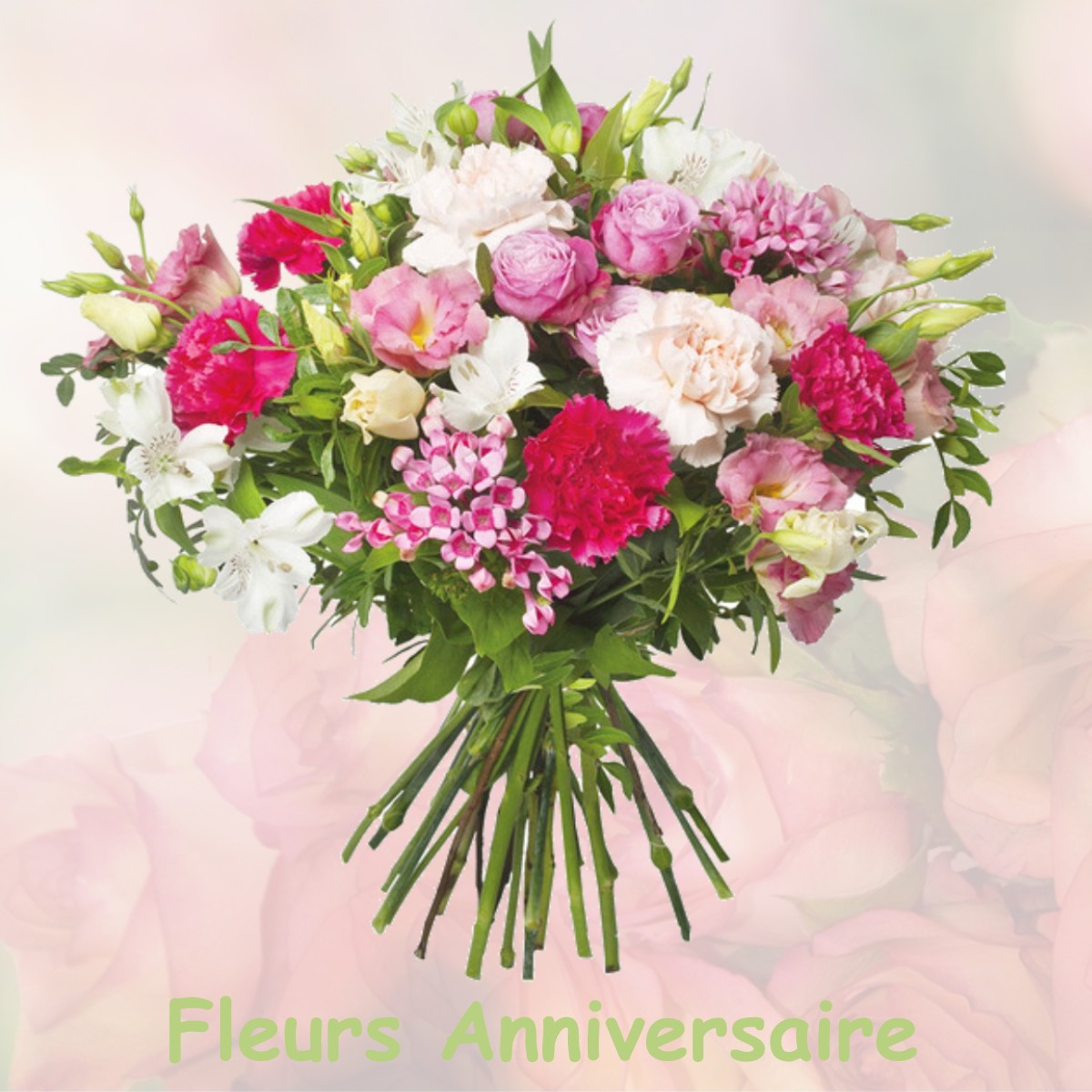 fleurs anniversaire VILLENEUVE-DU-LATOU